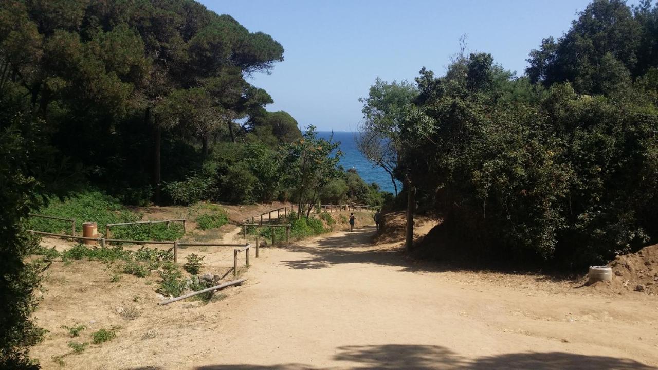 Apartment Sa Boadella Beach, - Costa Brava *